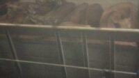 IMG-20260928-WA0014